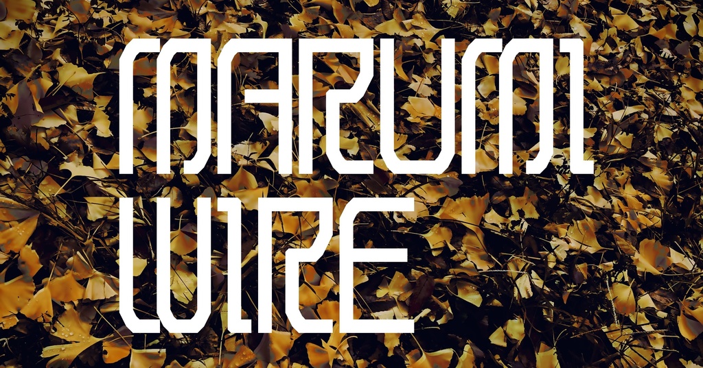 フォントデータ”Marumi Wire”