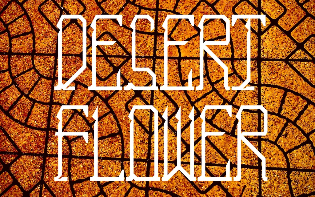 フォントデータ”Desert Flower”