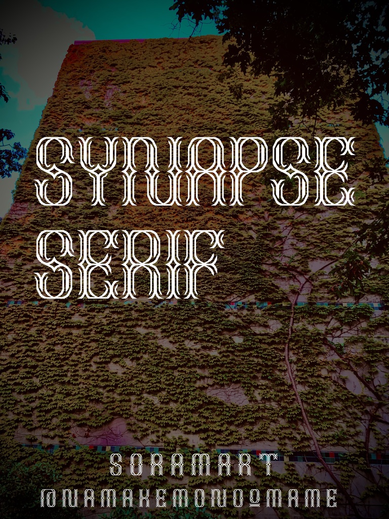 フォントデータ”Synapse Serif”