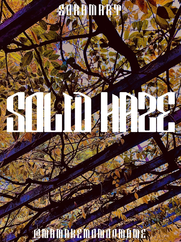 フォントデータ”Solid Haze”