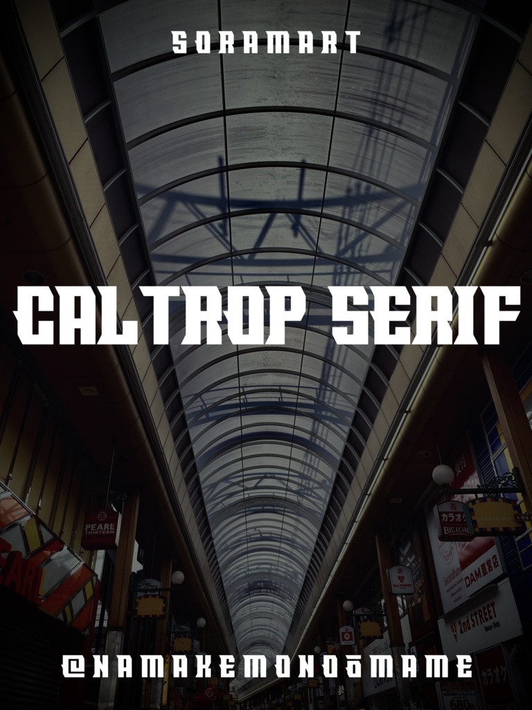 フォントデータ”Caltrop Serif”