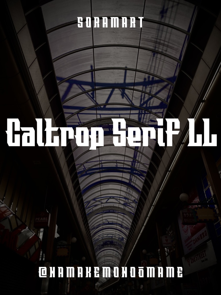フォントデータ”Caltrop Serif LL”