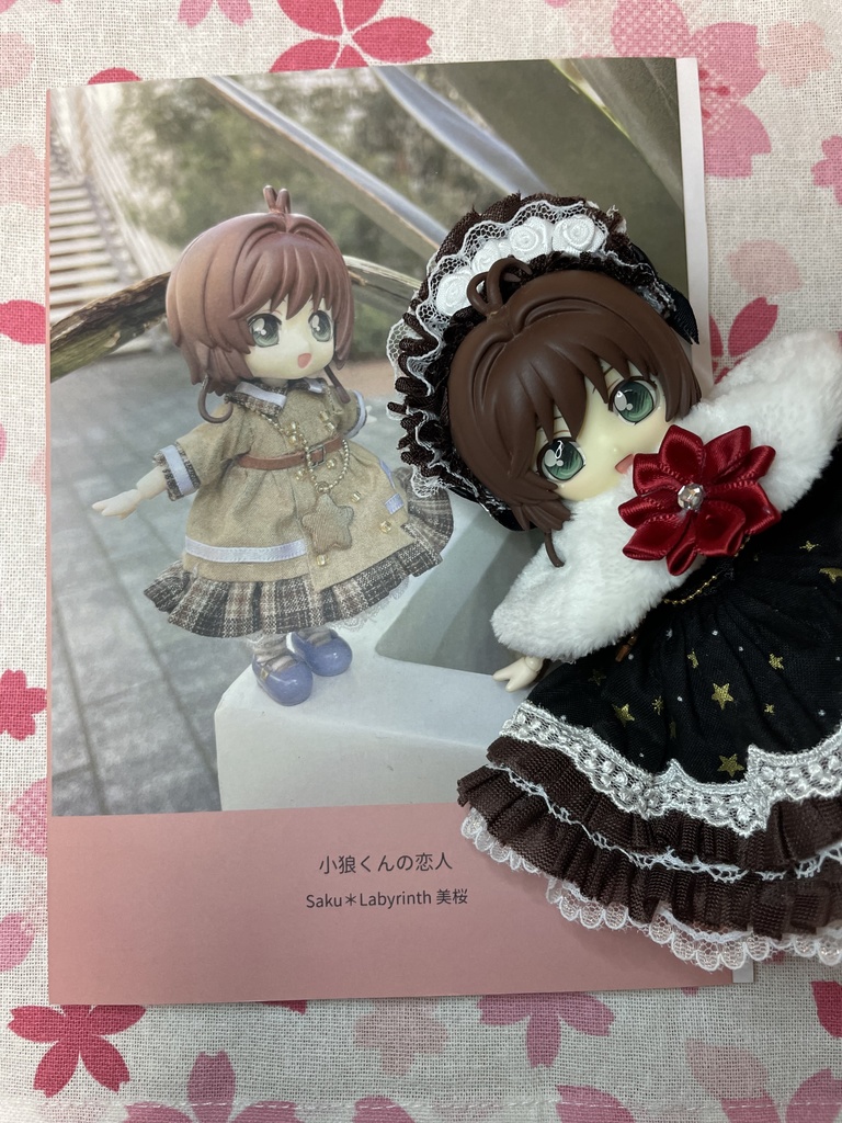 小狼くんの恋人 Saku＊labyrinth