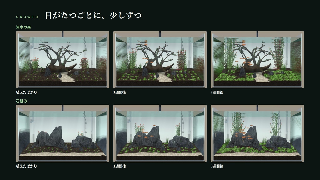 【VRChatワールド用水槽】芽吹きの水景 ― 本物の時間で育つ水草水槽【PC・Quest対応】