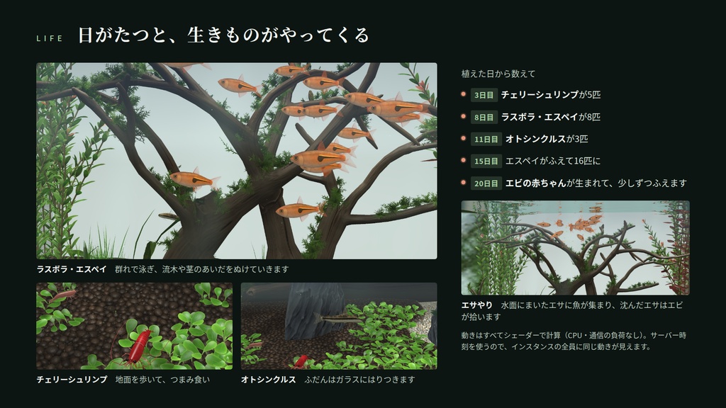 【VRChatワールド用水槽】芽吹きの水景 ― 本物の時間で育つ水草水槽【PC・Quest対応】