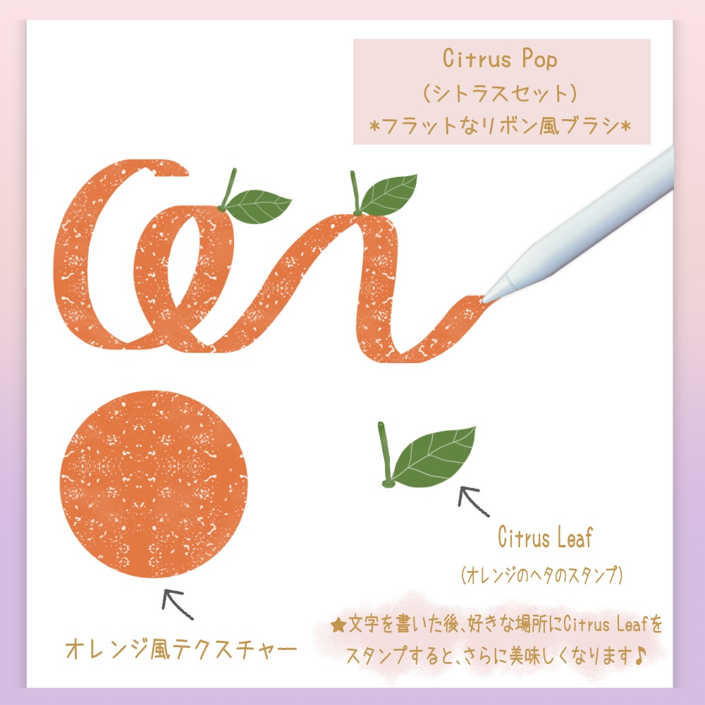 Procreate専用フルーツブラシとスタンプセット ♥ Fruity Garden Brush Set(10本入り)