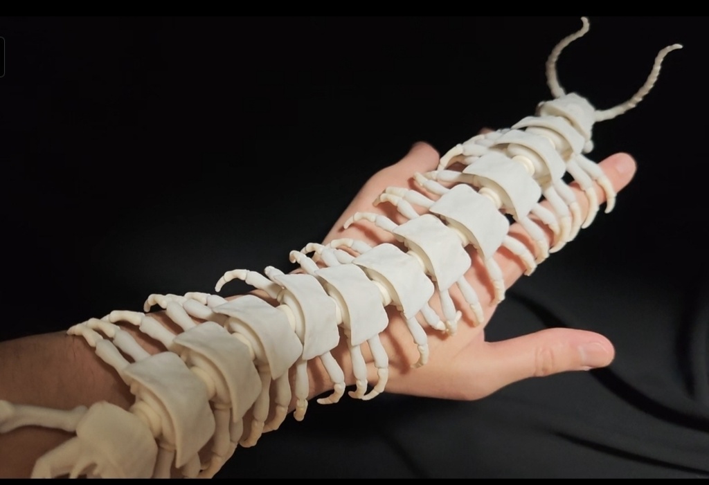 【光造形3Dプリンター出力用STLデータ】多重可動「骨ムカデ」/ Articulated Skeleton Centipede 3D Printable STL