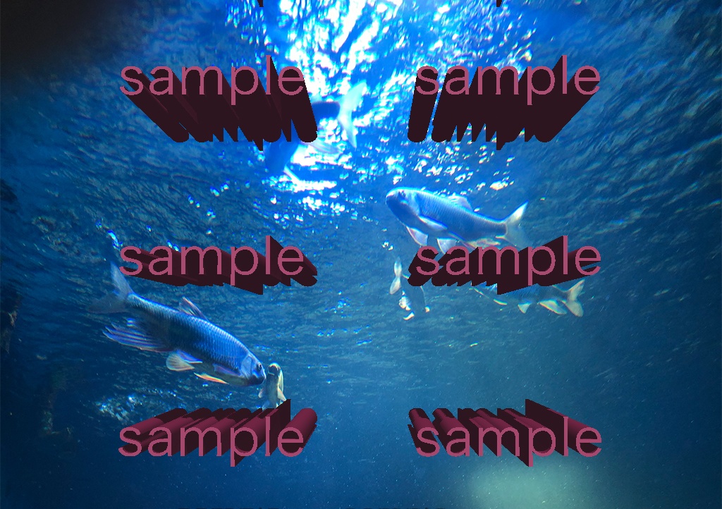 おさかなダークブルーロンT