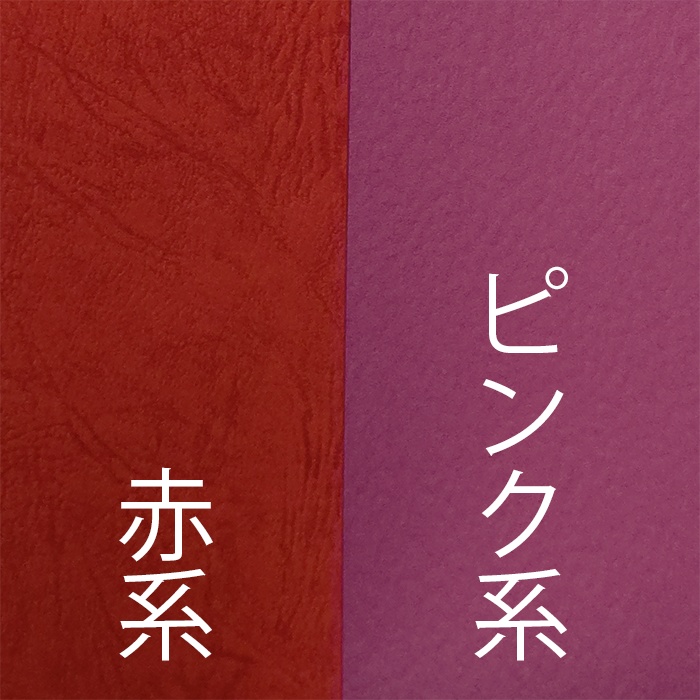 刀剣男士顕現時健康チェック帳