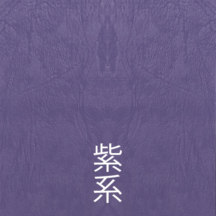 刀剣男士顕現時健康チェック帳