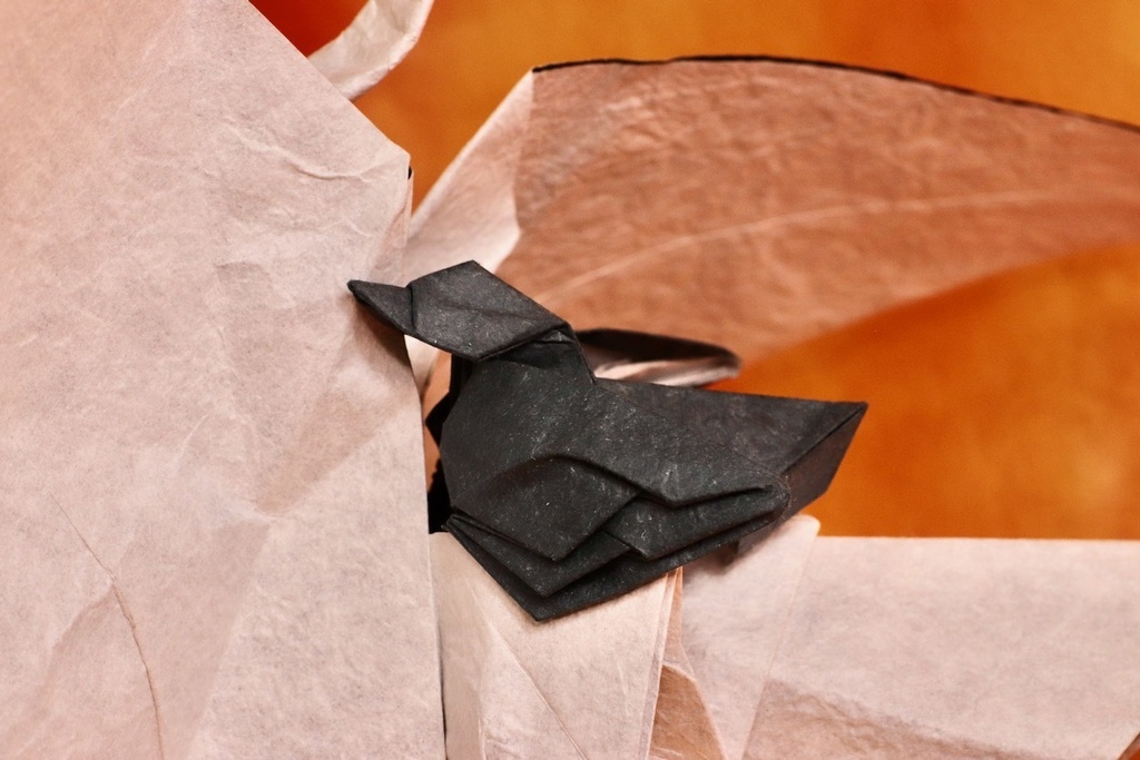 Swan and a Chick_Diagrams