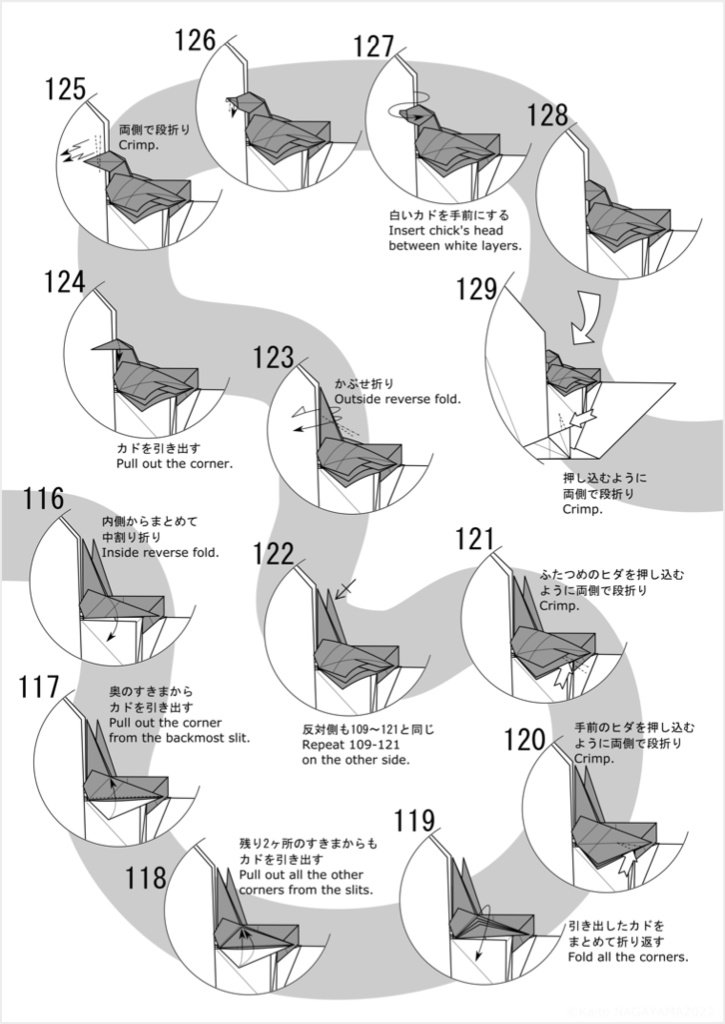 Swan and a Chick_Diagrams