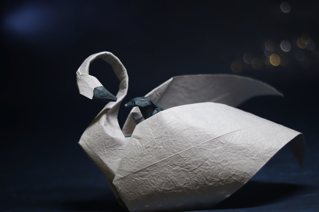 Swan and a Chick_Diagrams