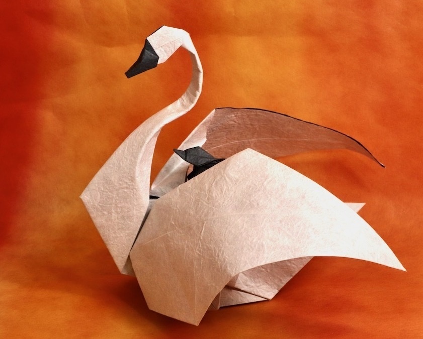 Swan and a Chick_Diagrams
