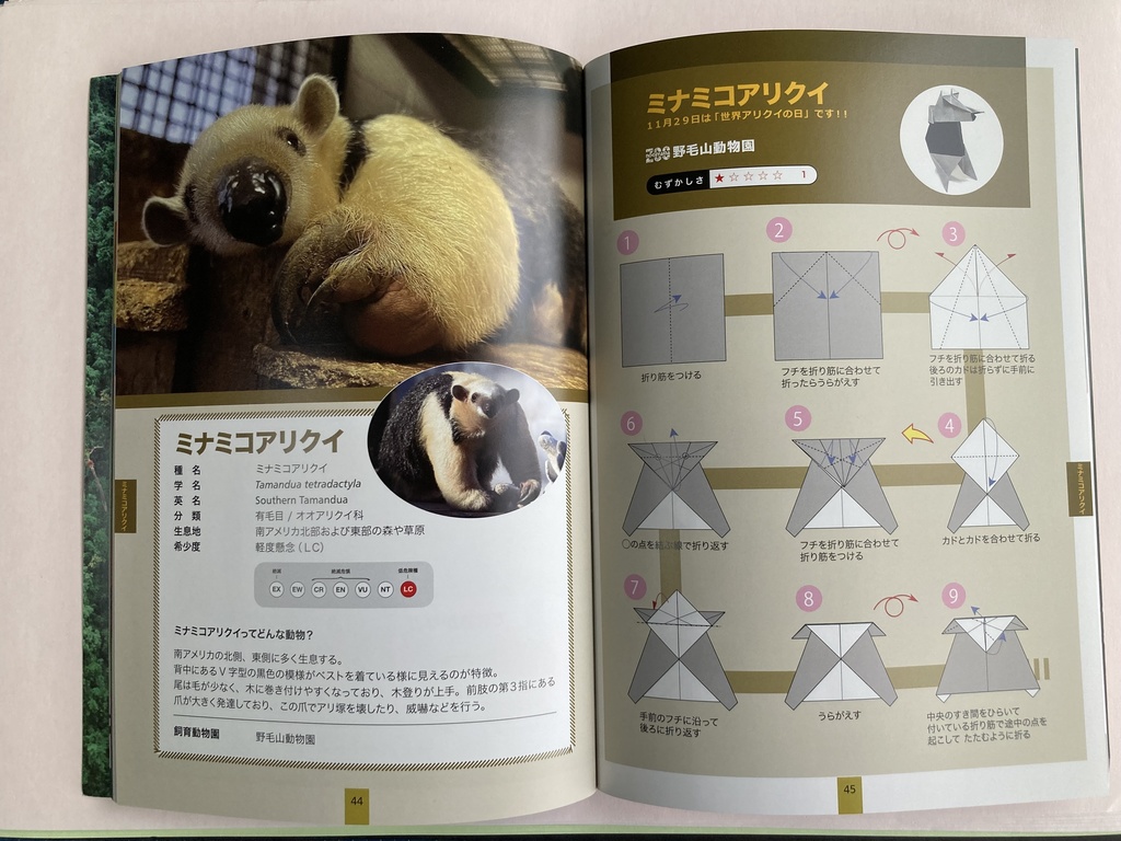 折り紙で親しむ熱帯林の動物たち