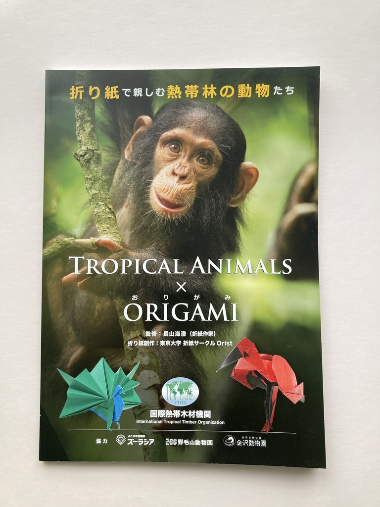 折り紙で親しむ熱帯林の動物たち