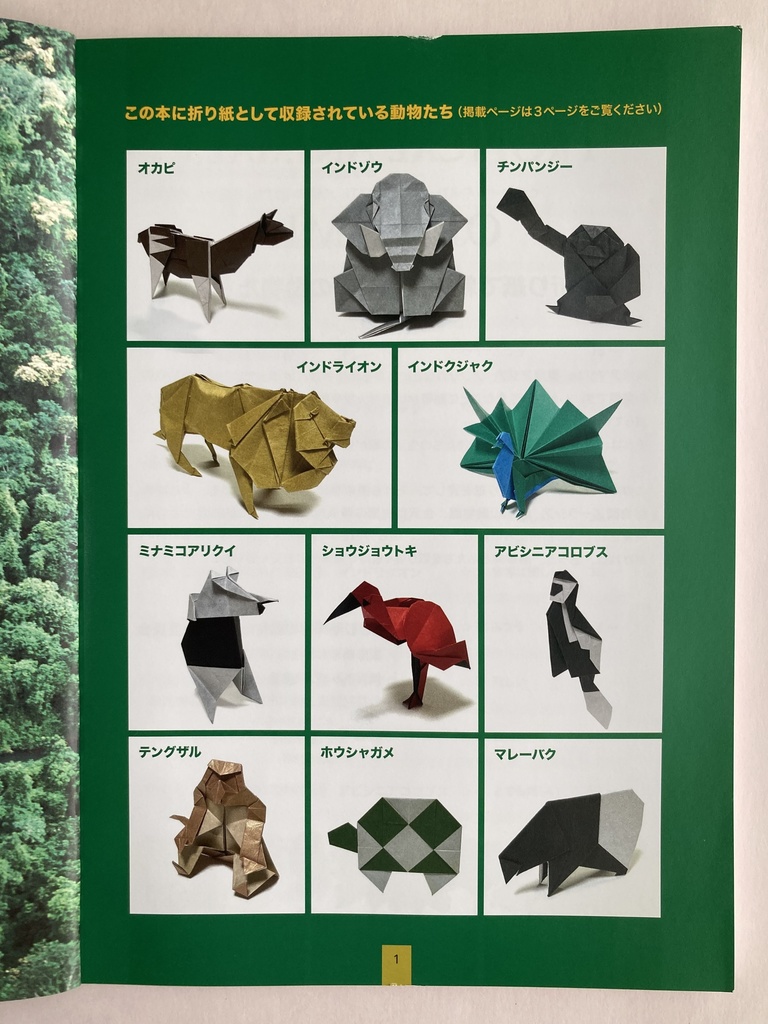 折り紙で親しむ熱帯林の動物たち