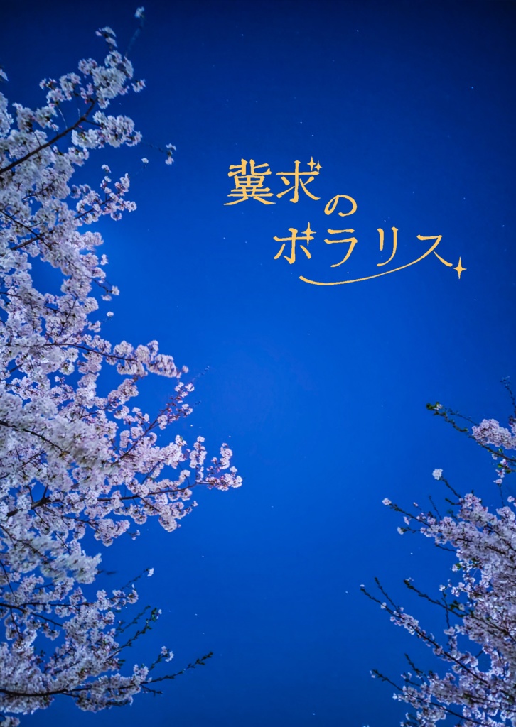 冀求のポラリス