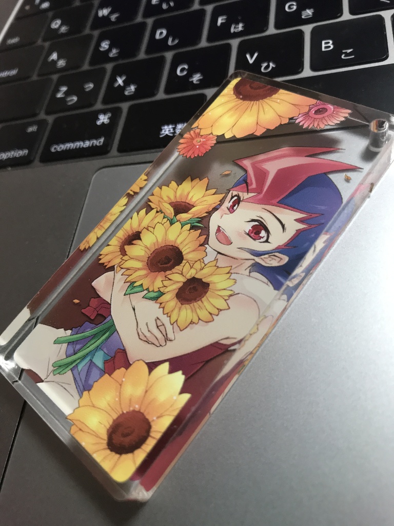 【再販】花言葉×ゼアルキャラ ドミスト