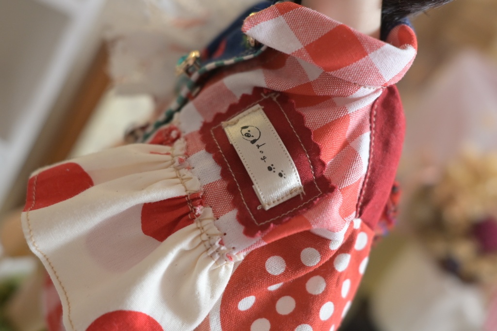 おてんばだね!わんこシャツ𖤐 ̖́-