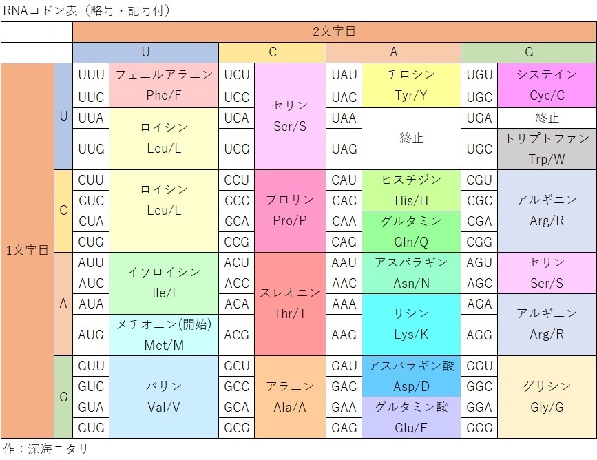 無料配布 略号 記号付きrnaコドン表 Grand Finale Booth