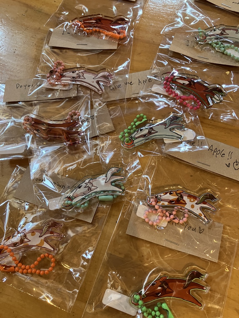 午年福袋 ノーマル