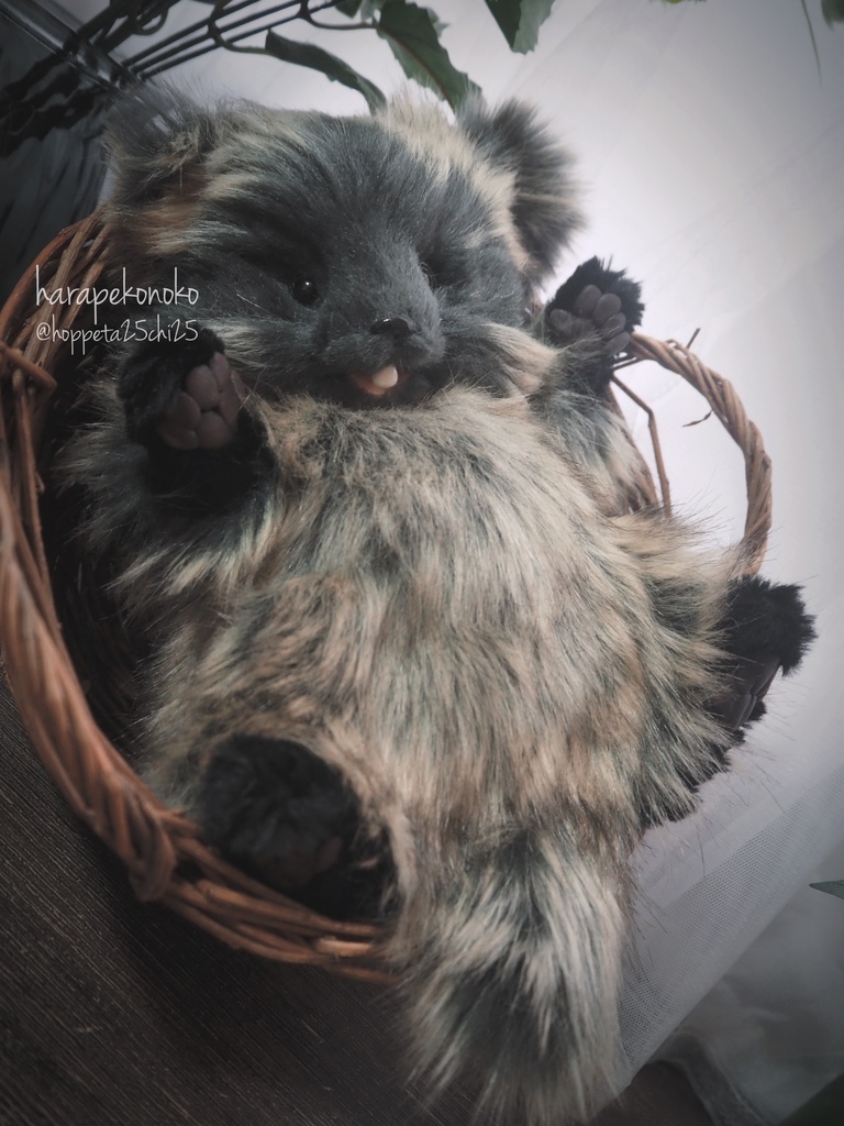 【展示】『越すコ』(しゅぴーん目)