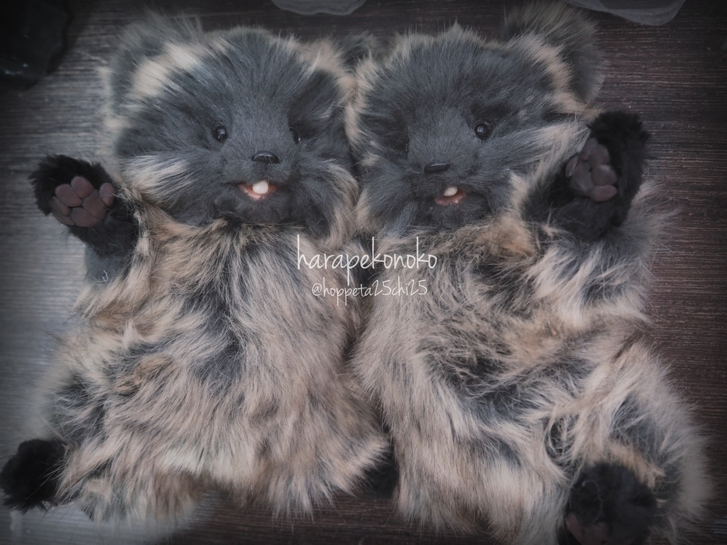 【展示】『越すコ』(しゅぴーん目)