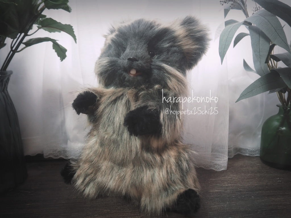 【展示】『越すコ』(しゅぴーん目)