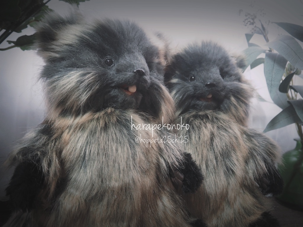 【展示】『越すコ』(とろりん目)