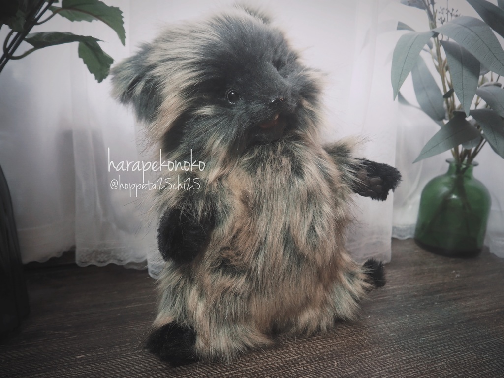 【展示】『越すコ』(とろりん目)