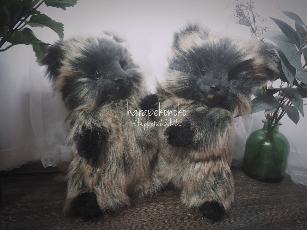 【展示】『越すコ』(とろりん目)