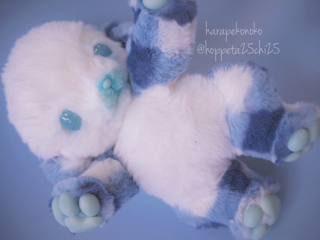 『ぬいぐるみみたいなコ』(おめめとろりん)