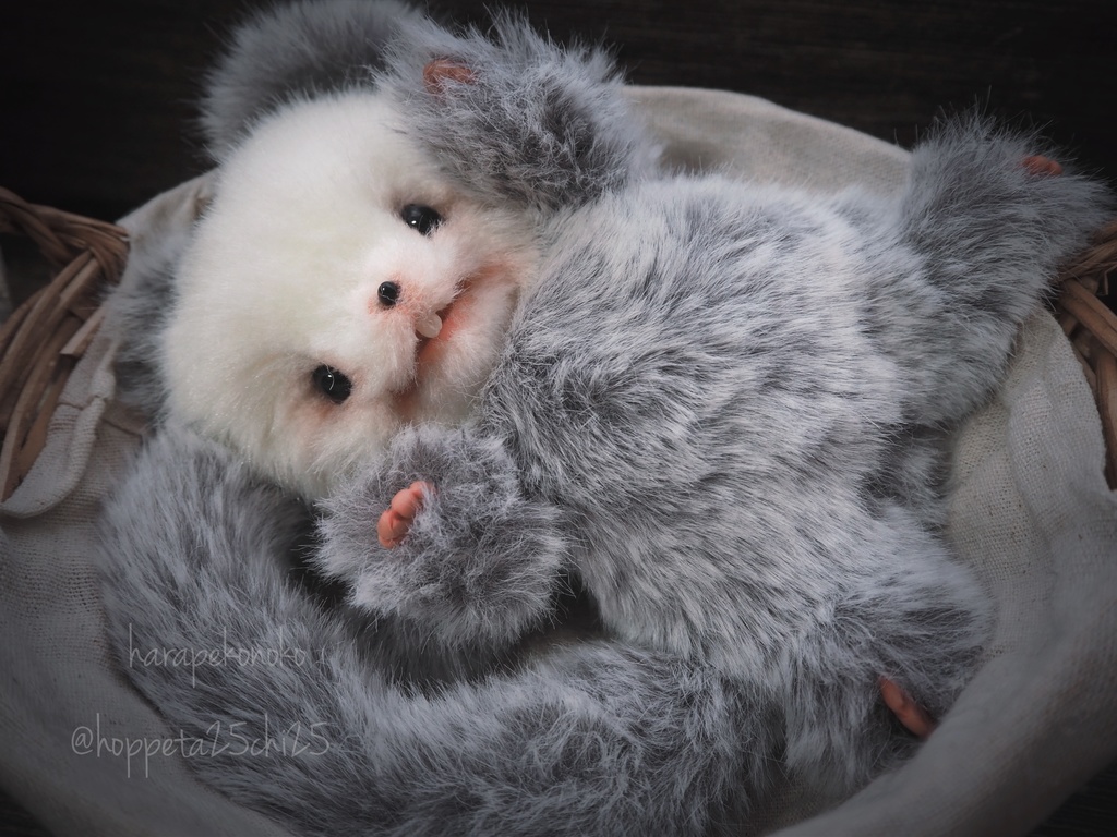 『たくさんいっぱいのコ』（うきうき）