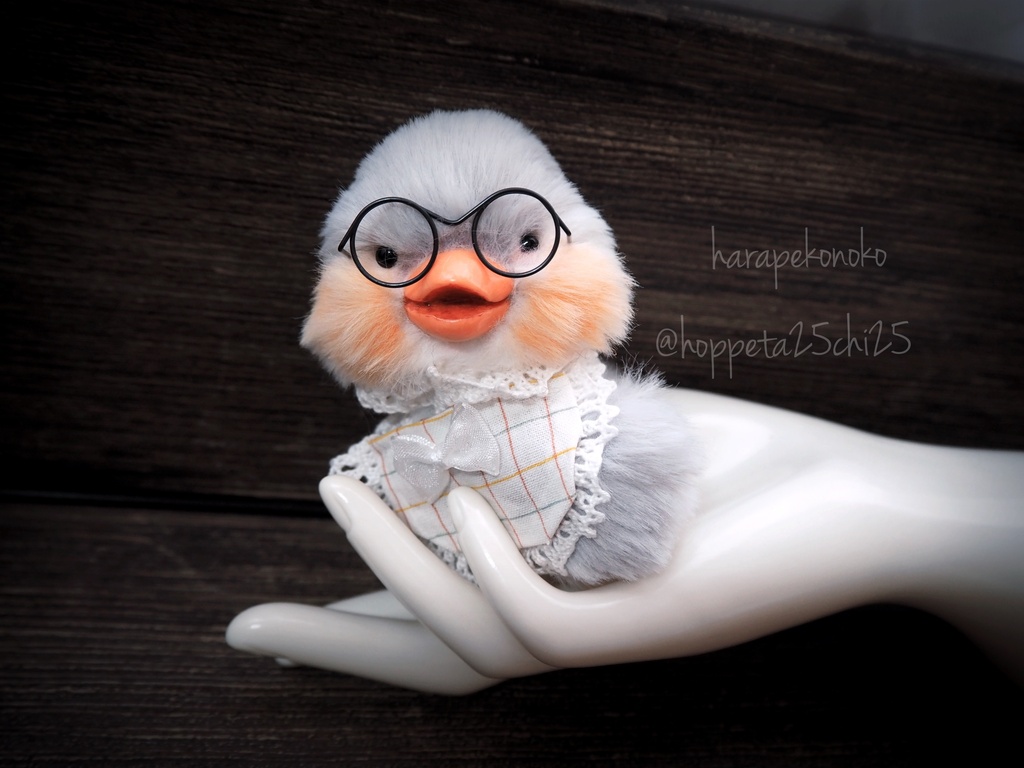 【展示】『ポケットのコ』(みどり)