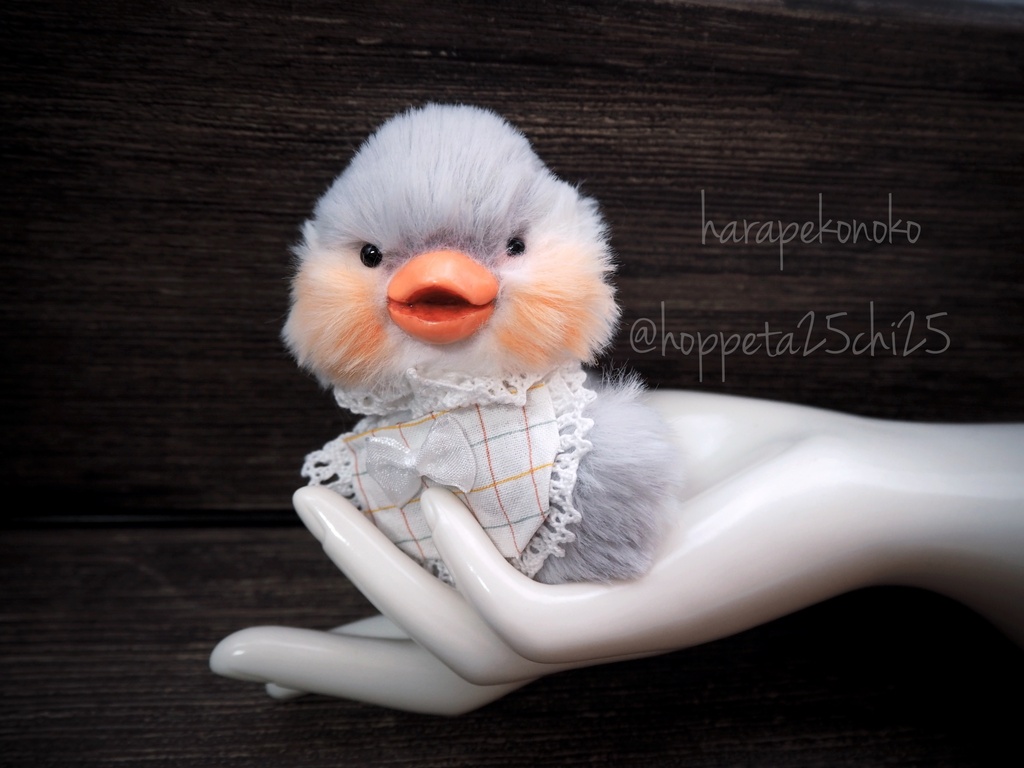 【展示】『ポケットのコ』(みどり)