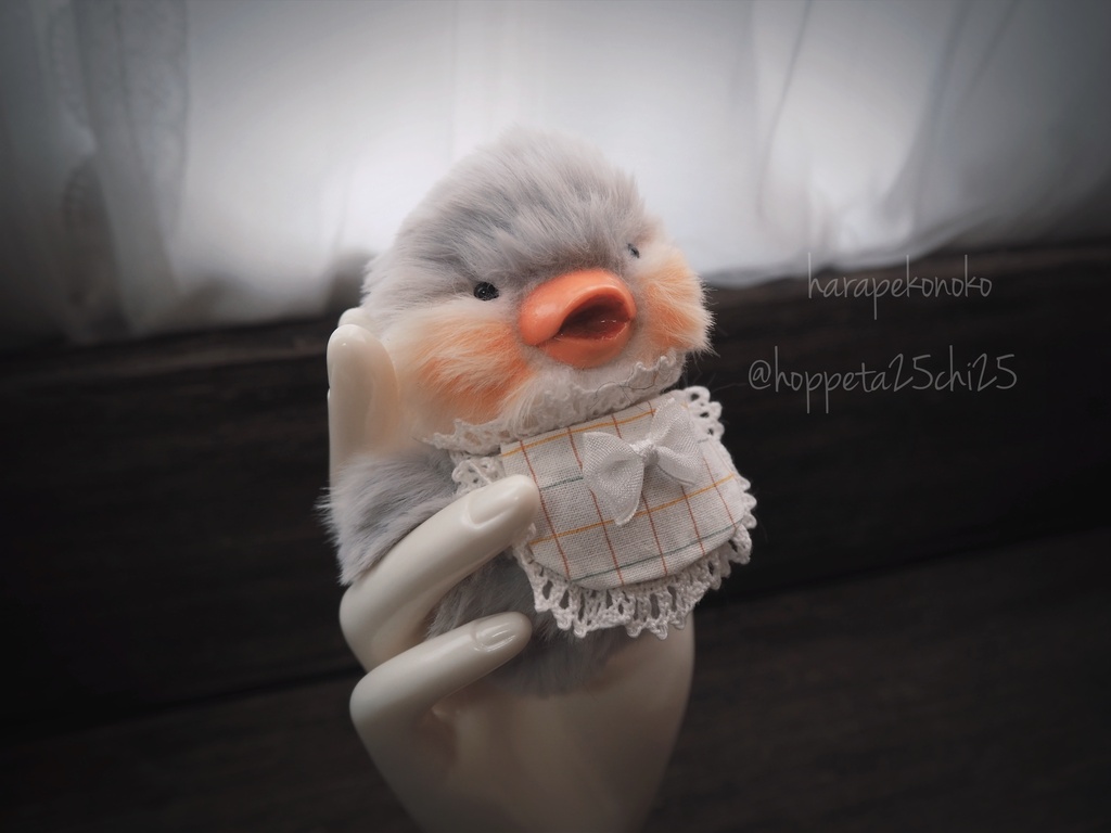 【展示】『ポケットのコ』(みずいろ)