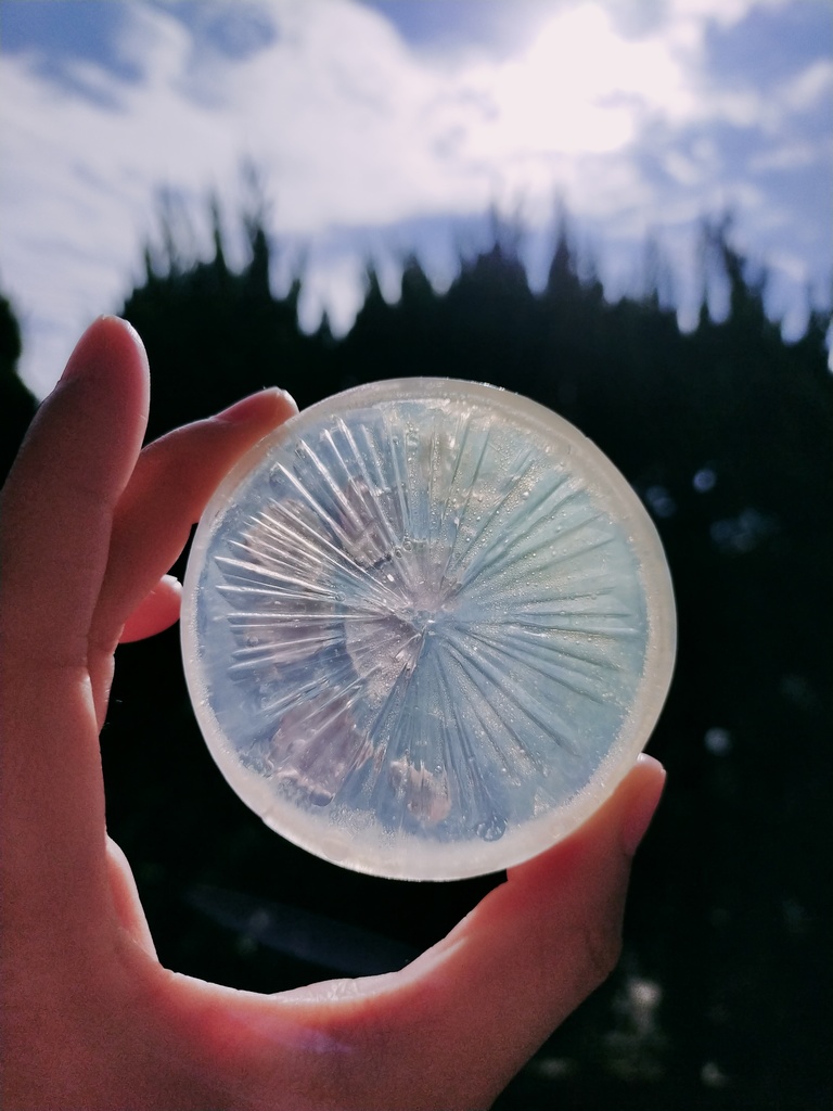 春うらら ✤ ジュエルソープ