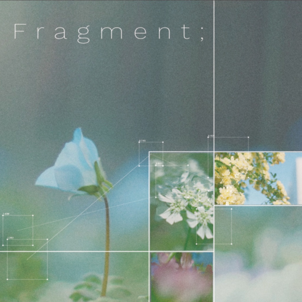 Fragment;