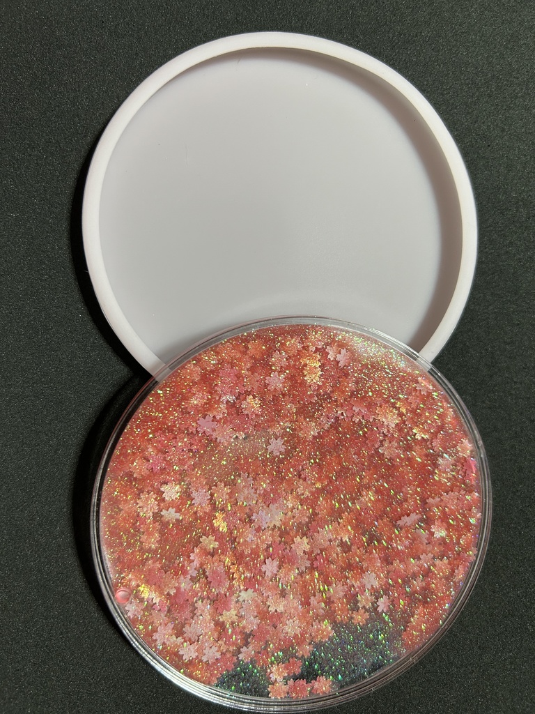 グリッターコースター なつめちゃん