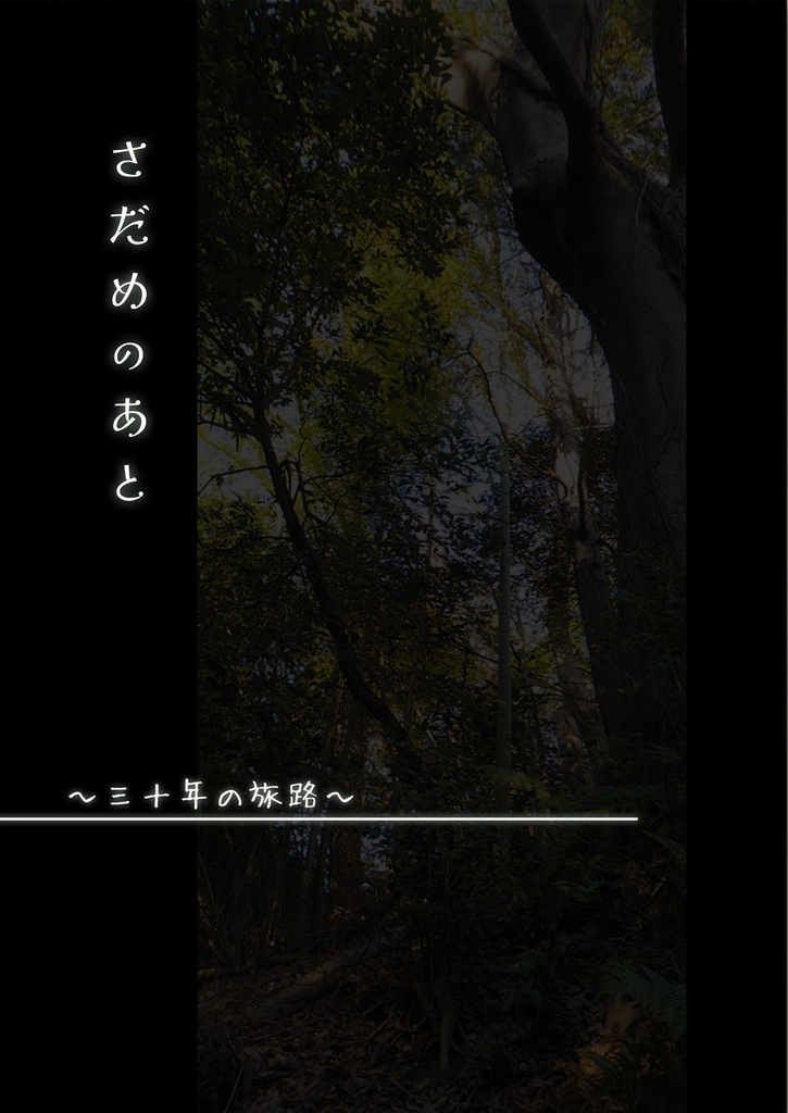 さだめのあと〜三十年の旅路〜