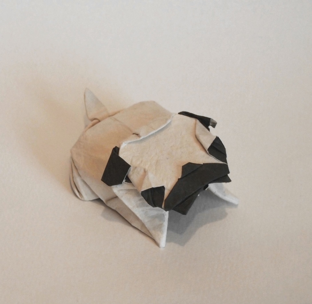 写真工程図 パグ 一匹柴犬 Origami Booth