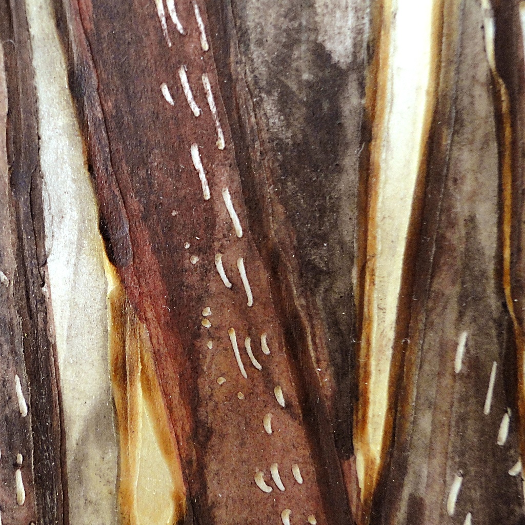 森林と太陽のウッドバーニングアート 原画 絵画 植物の絵 木雑貨 木工 アクリル画