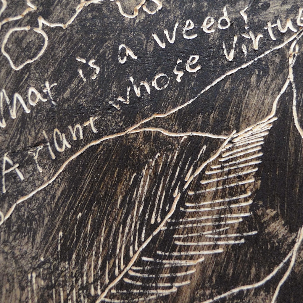 様々な植物のウッドバーニングアート 原画 絵画 植物の絵 木雑貨 木工 アクリル画