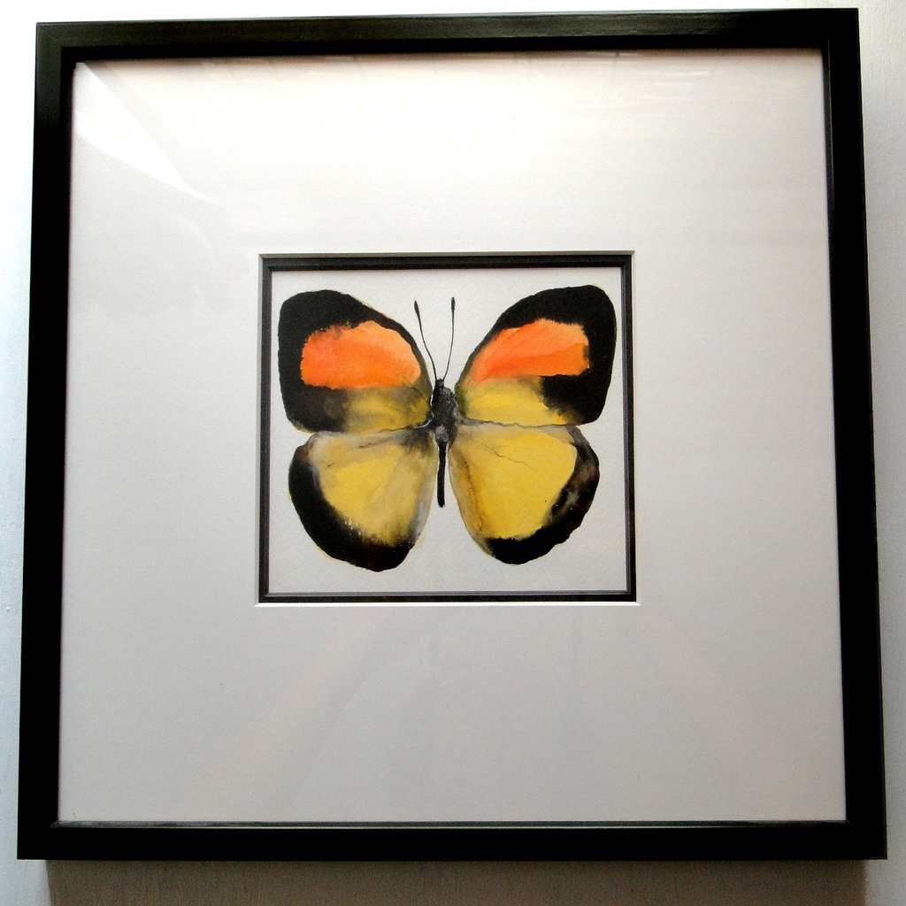 黄色い蝶の水彩絵画 アート 原画 額装 昆虫画 
