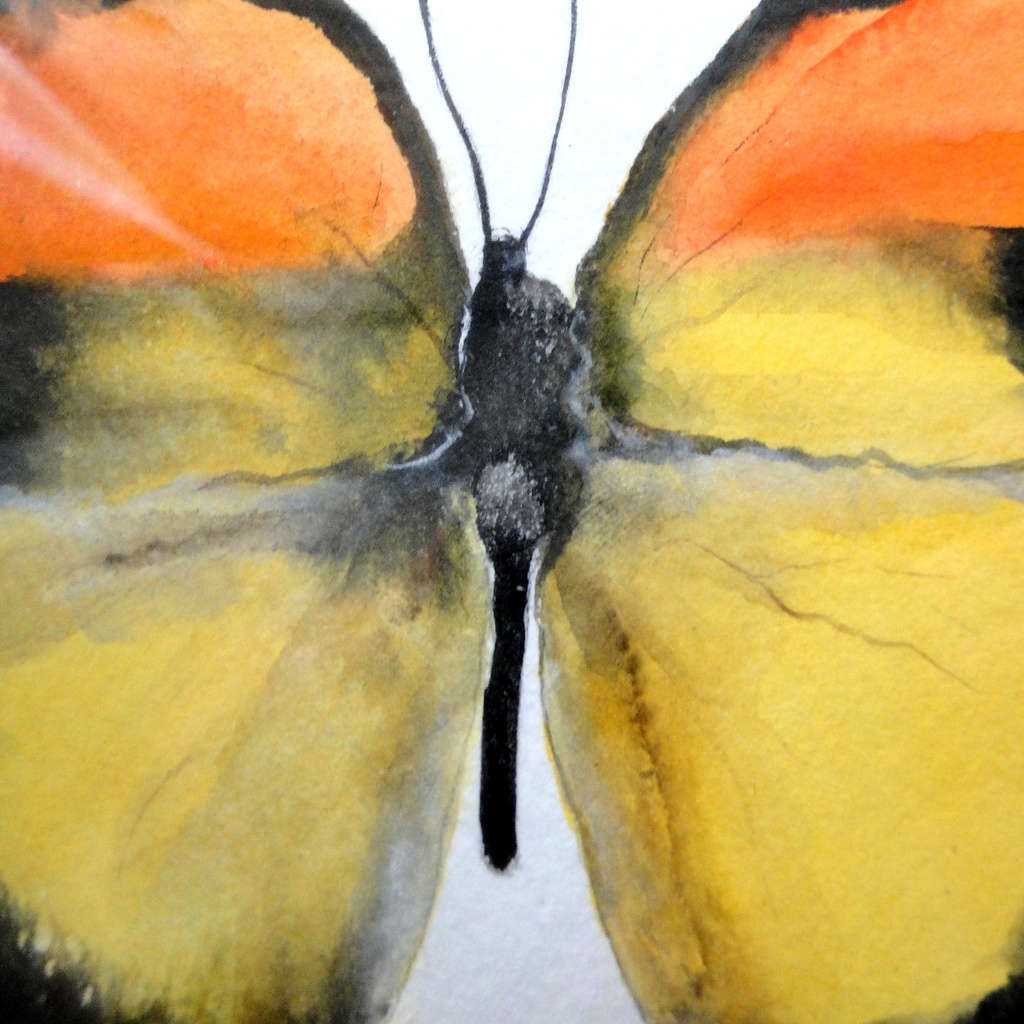 黄色い蝶の水彩絵画 アート 原画 額装 昆虫画