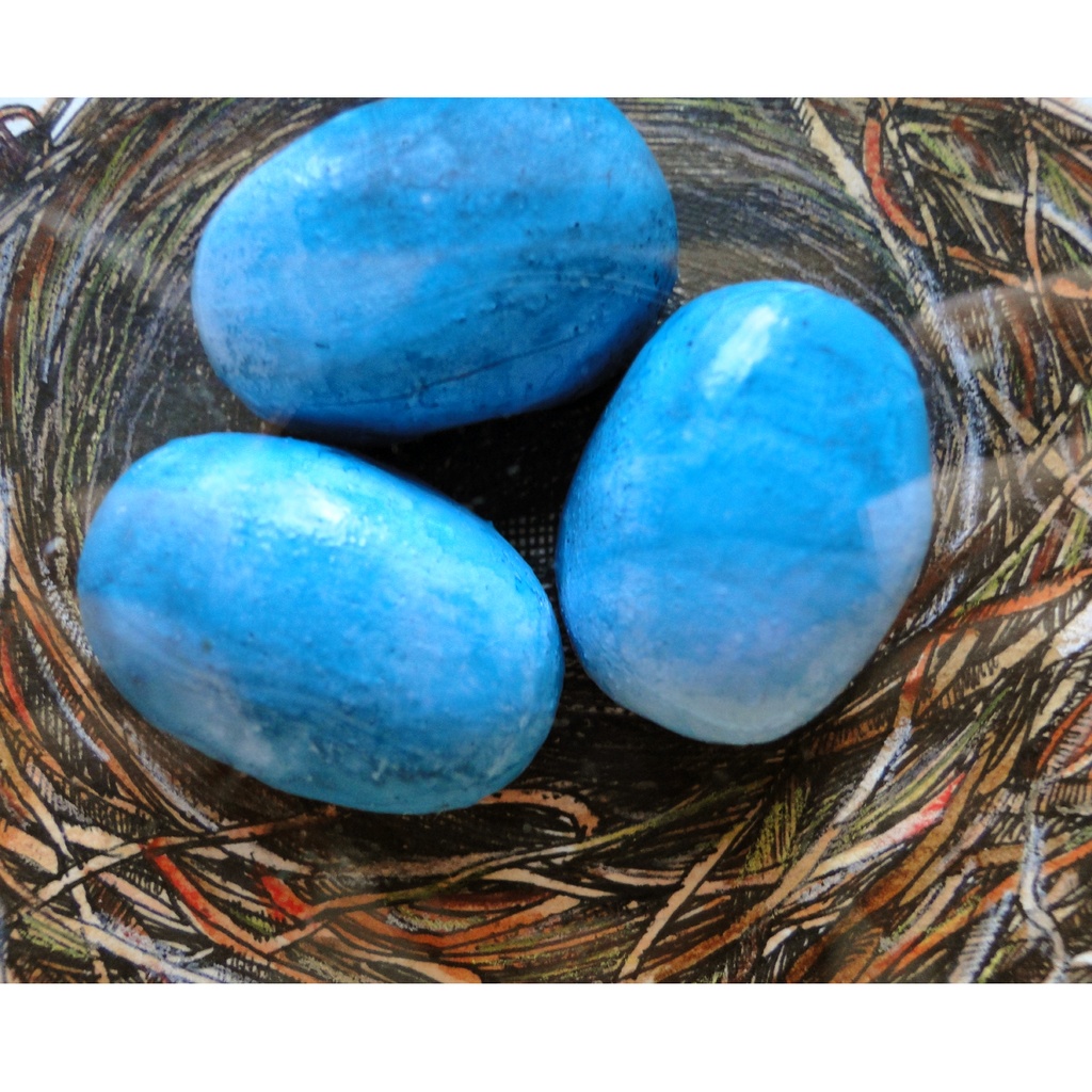 青い卵と鳥の巣の絵画 アート 原画 額装 水彩画 ペン画