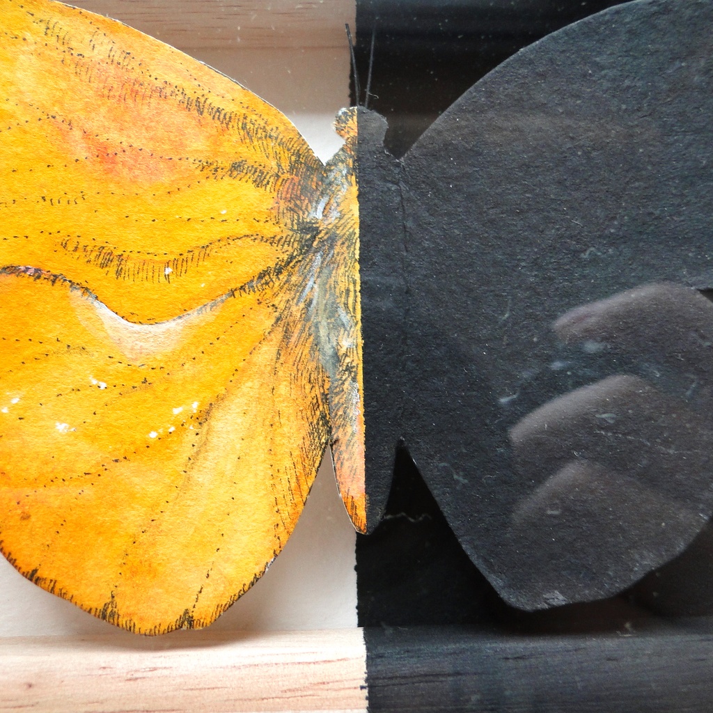 立体的な黄色い蝶の絵画 アート 原画 アクリルフレーム 水彩画 昆虫画 ペン画