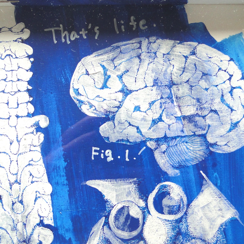 脳・心臓・脊髄の青い絵画 アート 原画 アクリルフレーム 理科 科学 ペン画