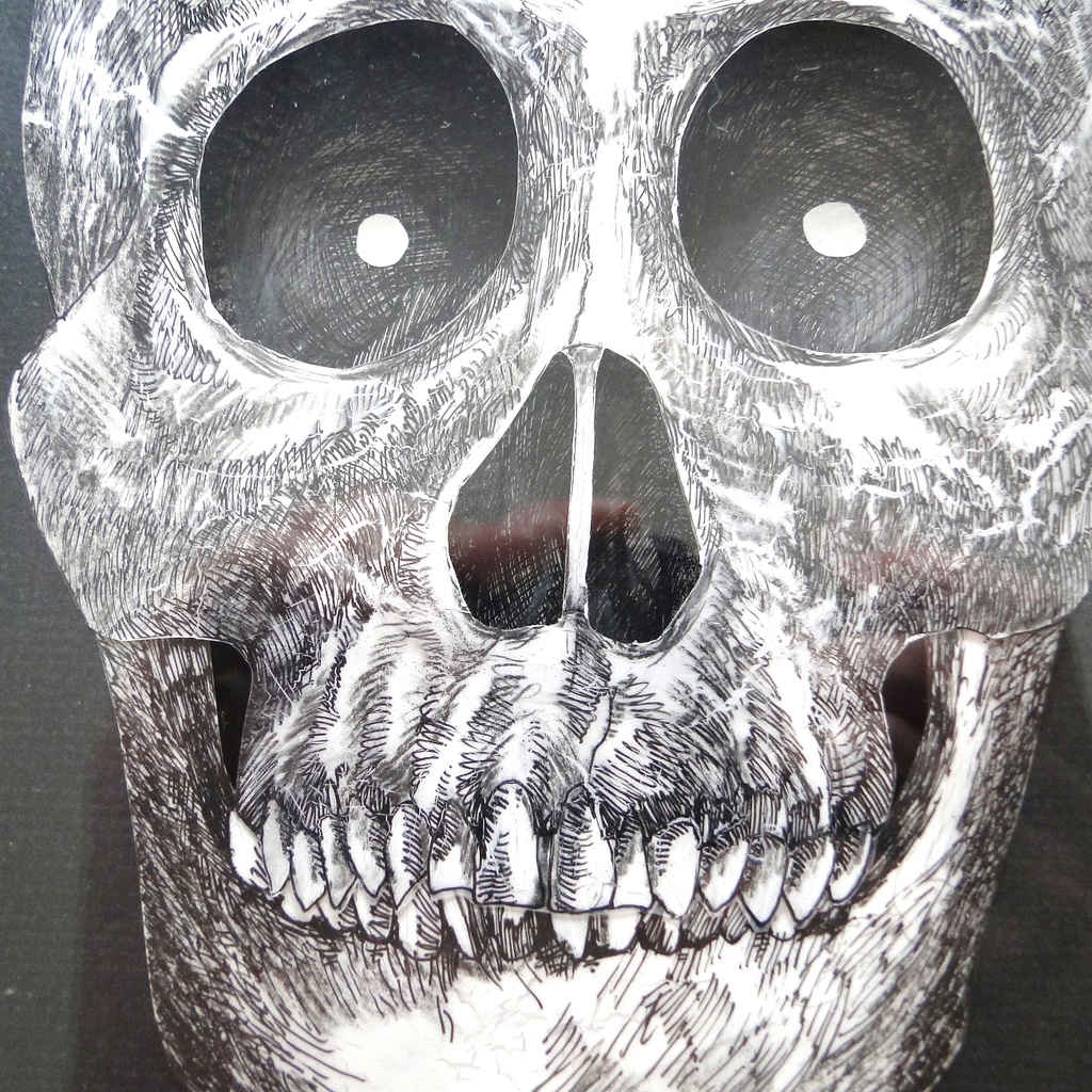 奥行きのある頭蓋骨の絵画 アート 原画 アクリルフレーム モノクロ ペン画